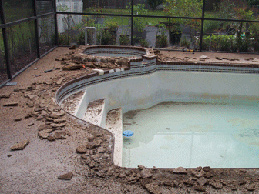 Pool Tile Removal